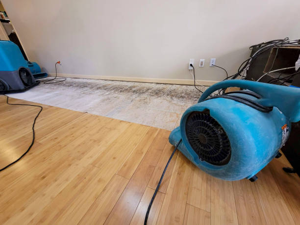 Professional Water Damage Repair technician working in Berlin, GA